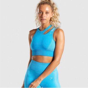 Summer Seamless Yoga Set Women 2 Pieces Blue Crop top Sport Bra Tank Shorts Spor